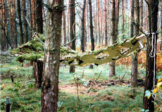 Moss Hammock