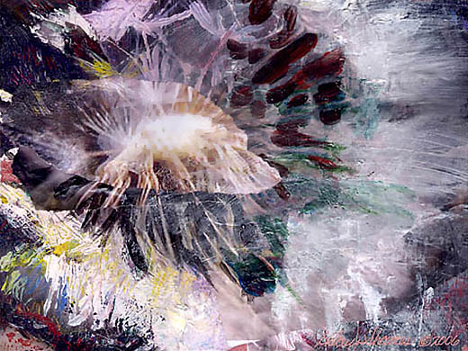 Dandelion I, 2006