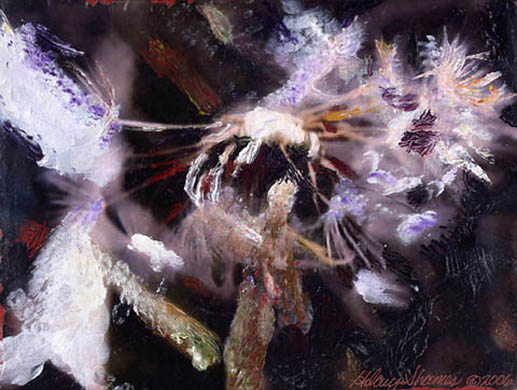 Dandelion III, 2006