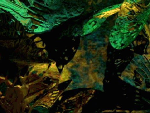 Metamorphosis, 1999
