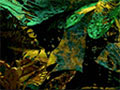Metamorphosis, 1999