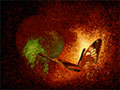 Metamorphosis, 1999