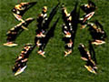Super Symmetry, 2001 