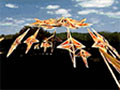 Super Symmetry, 2001 