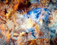Crystal Veil, 2007