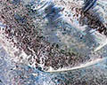 Li Current, 2007