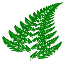 Barnsley Fern